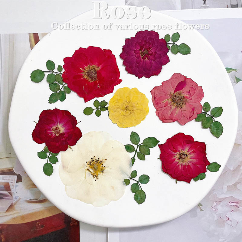 Dried Flower Bookmark - 60 قطعة ضغط المجففة الأحمر الأصفر